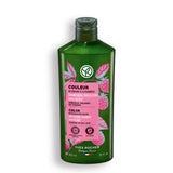 Champú Protector Color Brillo